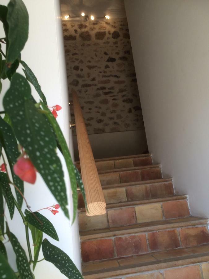 Apartmán Domaine De Camp Joyeux Puget-Ville Exteriér fotografie