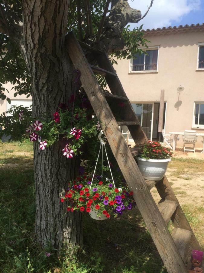 Apartmán Domaine De Camp Joyeux Puget-Ville Exteriér fotografie